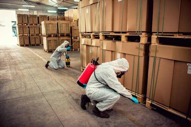 Best Wildlife Control Services  in Deridder, LA