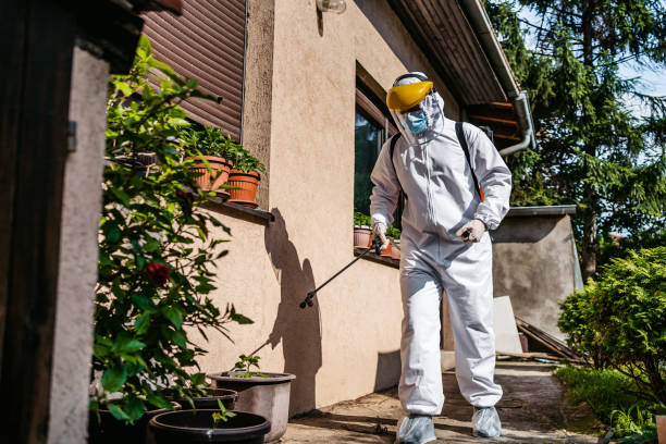Best Pest Control Treatment  in Deridder, LA