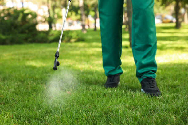Best Pest Removal Services  in Deridder, LA