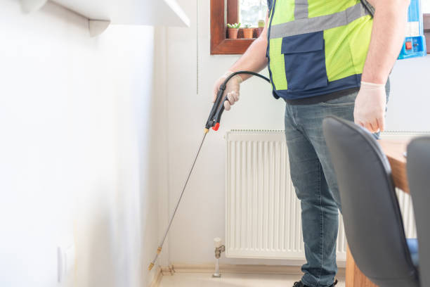 Best Local Pest Control Services  in Deridder, LA
