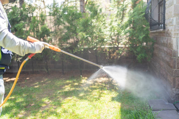 Best Best Pest Control Companies  in Deridder, LA