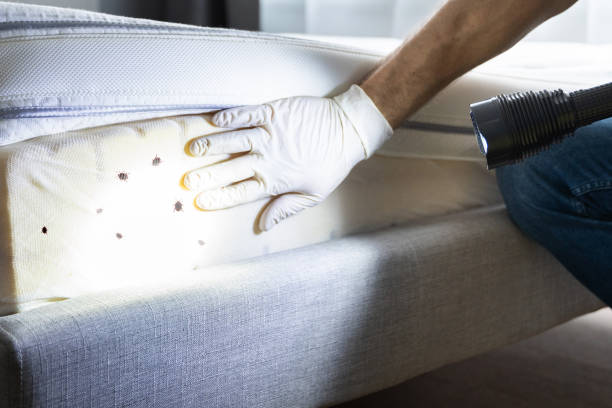 Best Best Pest Control Companies  in Deridder, LA