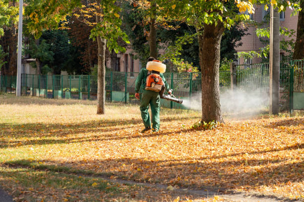 Reliable Deridder, LA Pest Control Solutions