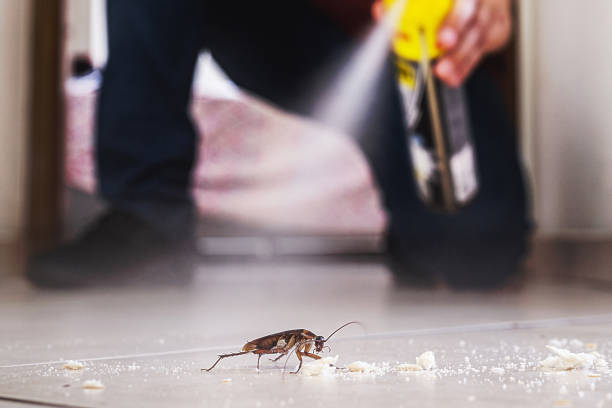 Best Residential Pest Control  in Deridder, LA