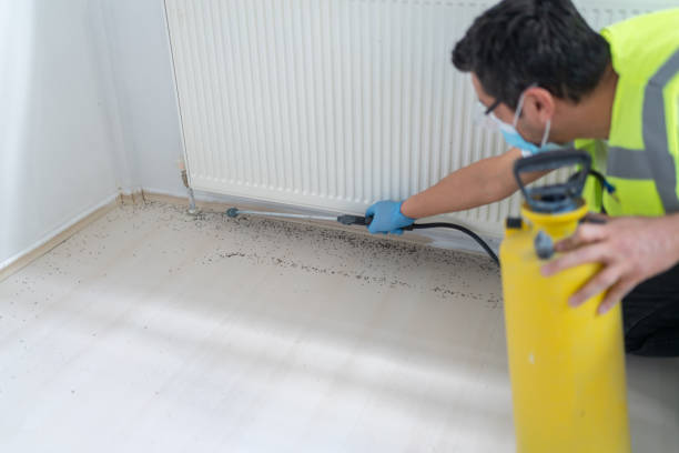 Best Pest Removal Services  in Deridder, LA